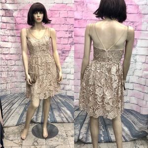 Adriana Papell fit and flare cocktail lace dress